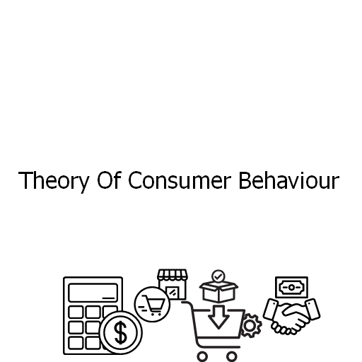 Theory Of Consumer Behaviour